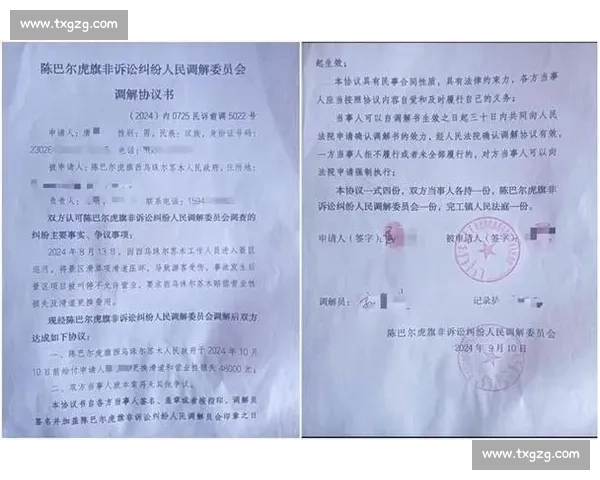 以官方裁定为中心全面解读事件事实与责任认定及后续影响